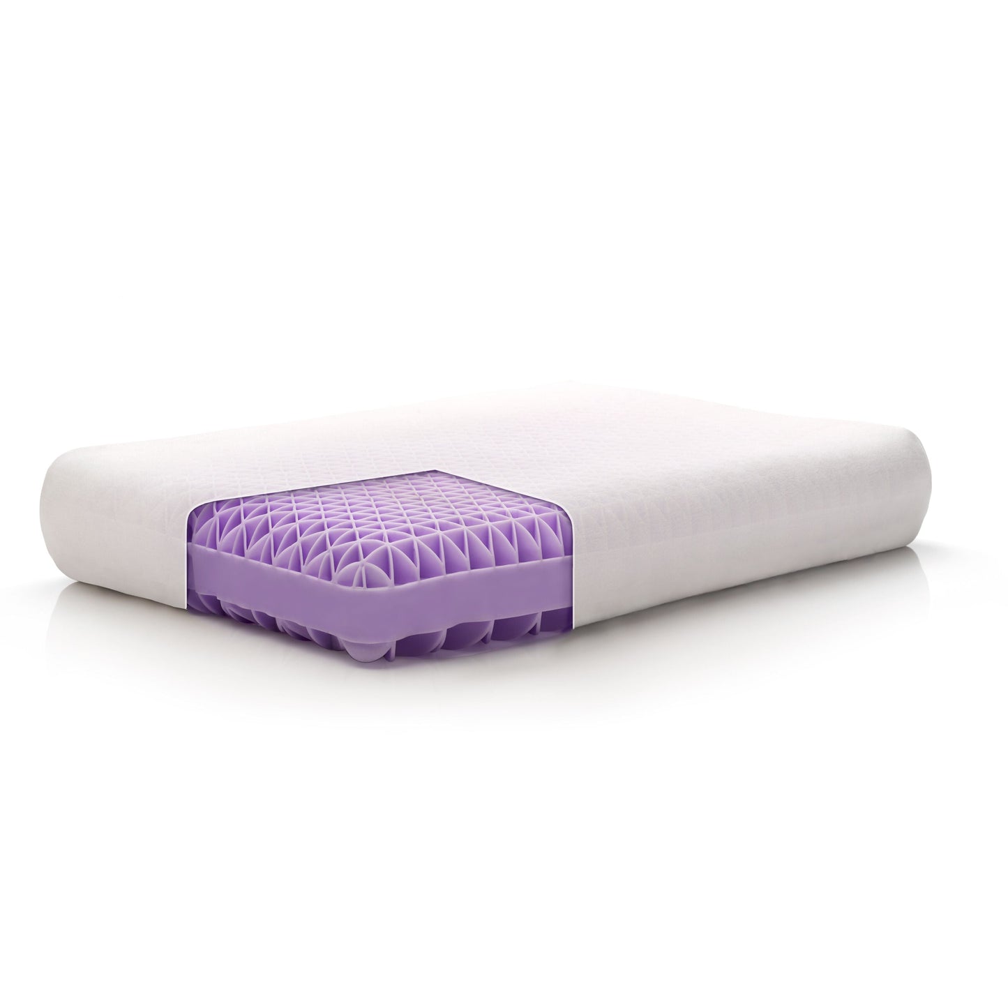 The Purple Pillow with Booster